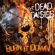 Dead Daisies - Burn It Down / Picture Vinyl / Cena platí pouze když k titulu zakoupíte jakékoliv zboží ze skladových zásob