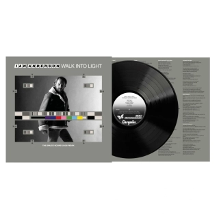 ANDERSON IAN - Walk Into Light / Vinyl