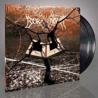 BORKNAGAR - Epic / 2 LP