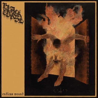 BLACK CURSE - Endless Wound / Vinyl